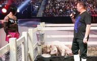 'Santina' Marella looks at the 'ring' he'll have to be participating in
